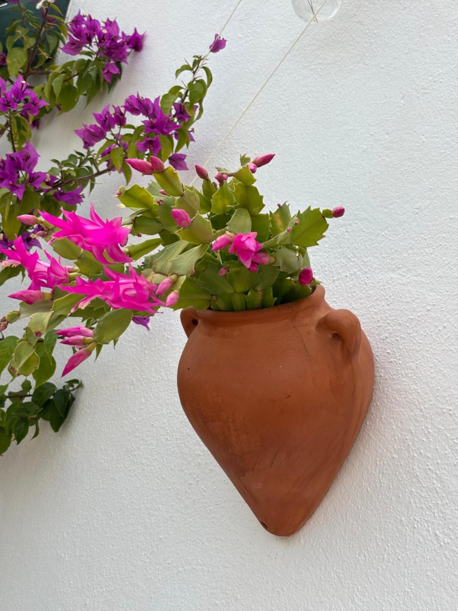 Casa Alta B&B Torrox Exteriér fotografie